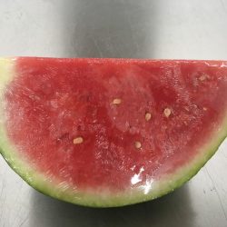 Water Melon 2